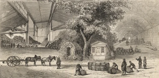 Il magazzino dei vini a Parigi nel 1861 - Cantine