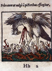 La leggenda del pellicano: dona il suo sangue e le sue viscere per nutrire i suoi piccoli. Da Historiae animalium di Konrad Gesner, Tiguri