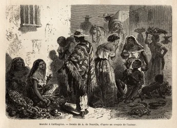 Il mercato di Cartagena (Colombia), nei sobborghi della città, frequentato principalmente da persone nere, meticci e indiani. Incisione per illustrare il viaggio nella Nuova Granada del dottor Saffray, nel 1869, pubblicata in «Le Tour du monde» 1872, a