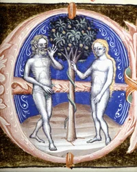 Il peccato originale - Miniatura