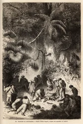 La preparazione di un pasto nella foresta incontaminata nella valle di Caravaya (cordigliera delle Ande), un boa constrictor con brodo corto. Incisione per illustrare il viaggio nelle valli di Quinquinas (Perù), di Paul Marcoy, nel 1849-1861, pubblicato in