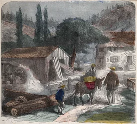 La segheria. Illustrazione del XIX secolo. Collezione Bianchetti