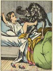 Il lupo picchia Cappuccetto Rosso. Illustrazione del racconto "Cappuccetto Rosso" di Charles Perrault
