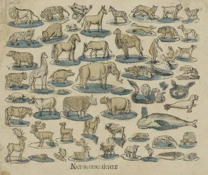 Animali