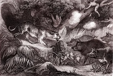 Caccia alla tigre nella foresta amazzonica (incisione)