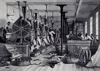 Fabbrica di tabacco, lavanderia e raschiatura del tabacco