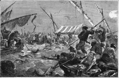 Pesca al tonno sulla costa della Provenza