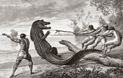 Immagine sconosciuta