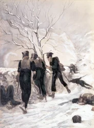Immagine sconosciuta
