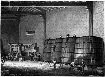 Vasche e pressa utilizzate nelle cantine di Borgogna Clos Vougeot. Incisione del XIX secolo