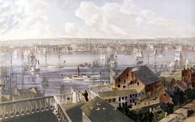 Veduta del porto di New York. Litografia SD intorno alla metà del XIX secolo.
