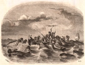 Veduta di un gruppo di marinai inglesi che inseguono un branco di trichechi nel 1818 al largo della costa di Spitsbergen