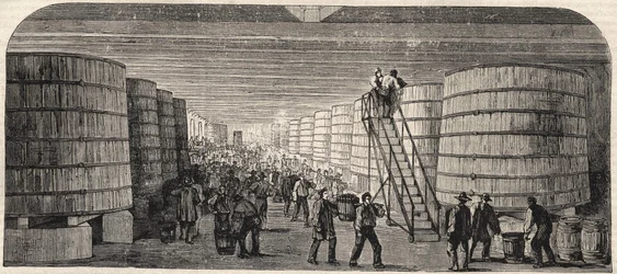 Veduta della cantina al Chateau - Lafitte nel 1860