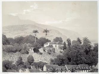 Veduta delle case prese dal Boulevard de la Comedie a Saint Pierre in Martinica nelle Antille. Stampa da fotografia della fine del XIX secolo