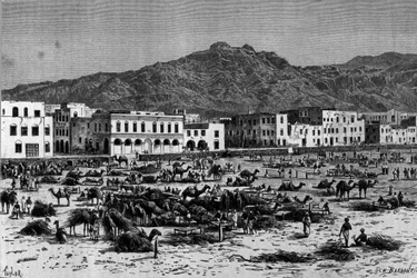 Veduta della marcia di Aden in Abissinia. Incisione del 1880 circa