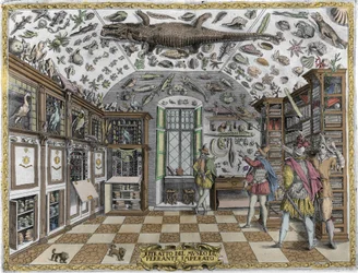 Veduta del gabinetto delle curiosità (museo enciclopedico) del farmacista Ferrante Imperato (1550 - 1631). Incisione del 1678. Museo dello speziale napoletano Ferrante Imperato.