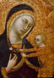 Vergine dell
