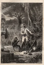 Viaggio nella Caffreria (Sudafrica) (1781) di François Levaillant (1753-1824): Levaillant e la sua scimmia degustatrice Maestro Kees, che assaggia i frutti e le radici per verificare che siano commestibili - illustrazione tratta da 
