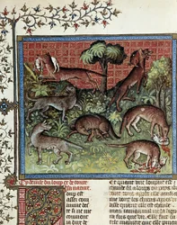 Noi motto il lupo e tutta la sua natura. Miniatura da Gaston Phoebus (1331-1391) detto Gaston III Conte di Foix