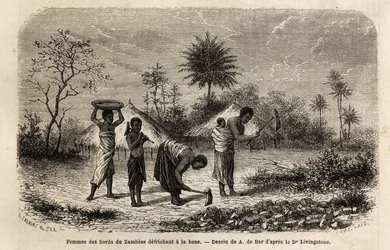 Donne delle rive dello Zambeze che dissodano con una zappa, e introducono i bambini al lavoro agricolo. Incisione per illustrare i primi viaggi del Dr. Livingstone nell