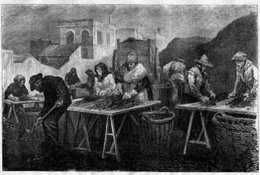Lavoratori in Francia: Selezionatori di coke (varietà di carbone derivante dalla distillazione del carbone, usato per il riscaldamento) in una fabbrica di gas a Parigi. Incisione in "Le Monde Illustré"
