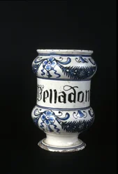 Vaso farmaceutico del XVI secolo contenente Belladonna, erba tossica usata in farmacia. Museo della Scienza e della Tecnologia, Milano