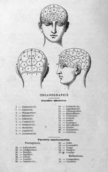Illustrazione dal libro di Charles Rouvin del 1873 Organographie La Tête humaine, studi illustrati di frenologia e fisionomia applicati a personaggi famosi, Parigi 1873