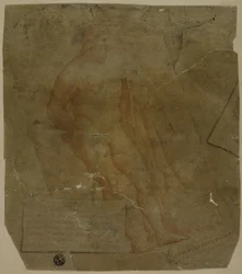 Ercole