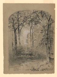 Disegno, Studio di un bosco, 1865-70
