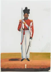 Subadar del 2° Battaglione Martin, Esercito di Madras