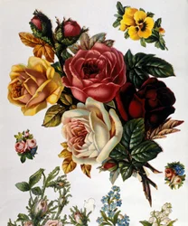 Un mazzo di rose. Cromolitografia del XIX secolo