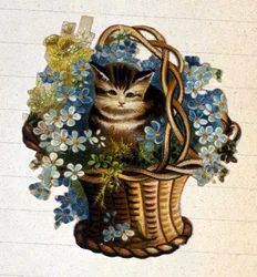 Un gatto in un cesto di fiori. Cromolitografia del XIX secolo.