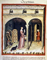 Una giovane donna raccoglie uova di gallina. Miniatura dal Tacuinum sanitatis