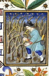 Rappresentazione allegorica di marzo. Un uomo che taglia arbusti. Miniatura di un manoscritto del XIV secolo