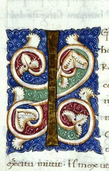 Alfabeto: lettera miniata I