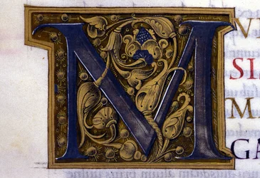 Alfabeto: lettera miniata M