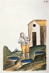Vassoio di tintura blu usato per tingere la lana, dal libro "Trujillo del Peru" o "Códice Martínez Compañón", di Baltazar Martinez Compañón y Bujanda, vescovo di Trujillo (1782-1785)