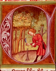 Botanica: un giardiniere che pratica un trapianto. Miniatura tratta da «Il Rusticano o Libro del profitto della campagna e dell