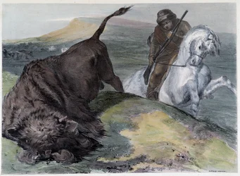 Caccia al bufalo degli Uroni canadesi - in "Schizzi del Canada" di Coke Smyth, Londra