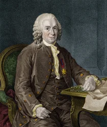 Carl Von Linné, naturalista e scrittore svedese (1707 - 1778).
