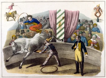 Scena circense, cavaliere che fa acrobazie
