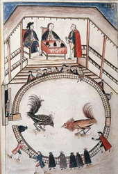 Combattimento di galli, un nobile assiste al duello, dal libro «Trujillo del Peru» o «Códice Martínez Compañón» di Baltazar Martínez Compañón y Bujanda, vescovo di Trujillo (1782-1785)