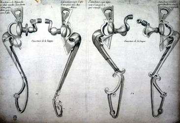 Disegno di morsi per cavalli