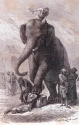 Esecuzione in India: i criminali vengono giustiziati: la loro testa viene schiacciata da un elefante guidato dal suo karnac, incisione 1875