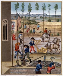 Lavoro nei campi - Miniatura