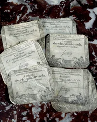 Rivoluzione francese: molti incarichi rivoluzionari. Collezione privata del XVIII secolo