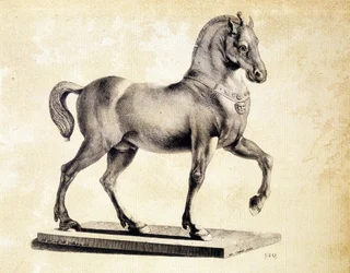 Cavallo della Basilica di San Marco a Venezia - Incisione