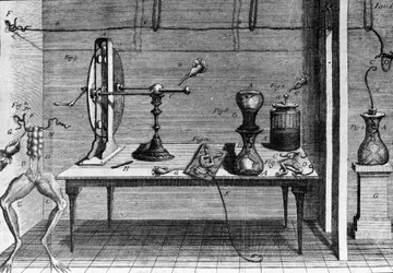 Illustrazione degli esperimenti di Luigi Galvani, fisico e medico italiano (1737 - 1798) che spiegano il passaggio della corrente elettrica che muove le zampe di una rana