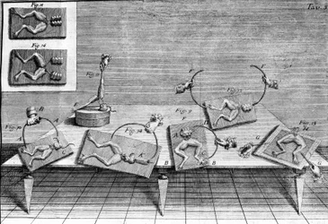 Illustrazione degli esperimenti di Luigi Galvani, fisico e medico italiano (1737 - 1798) che spiegano il passaggio della corrente elettrica che muove le zampe di una rana