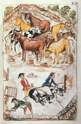 Guardiani indiani delle mucche, dal libro "Trujillo del Peru" o "Codice Martínez Compañón", di Baltazar Martinez Compañón y Bujanda, vescovo di Trujillo (1782-1785)